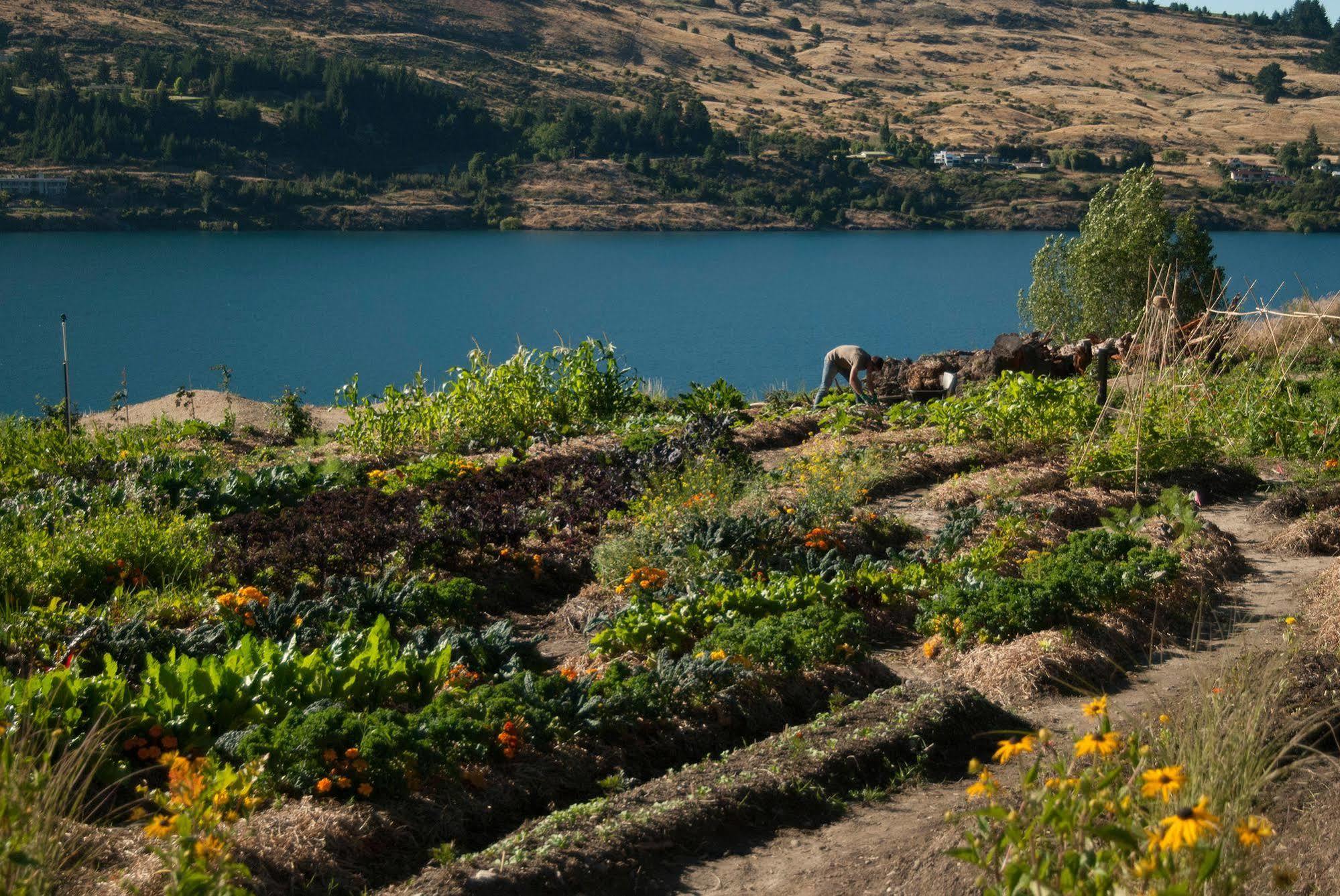 Sherwood Queenstown Eksteriør billede